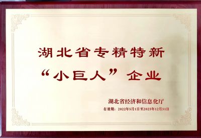 湖北省专精特新“小巨人”企业